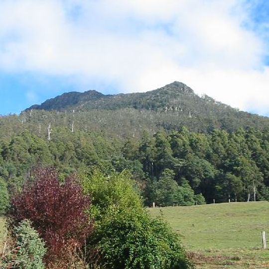 Quamby Bluff Forest Reserve
