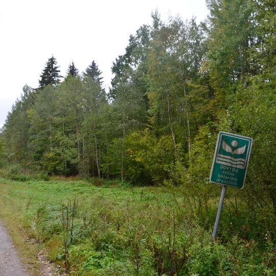 Dovydai forest Botanical Reserve