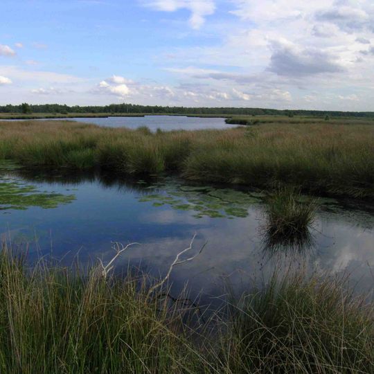 Parco nazionale De Groote Peel