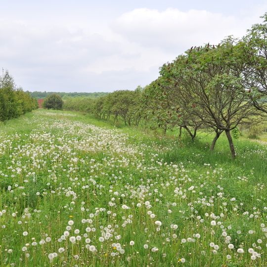 Chervona Kalyna Botanical Garden