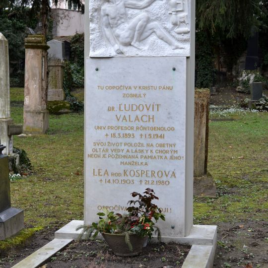 Ev. cintorín Kozia brána, náhrobník s reliéfom