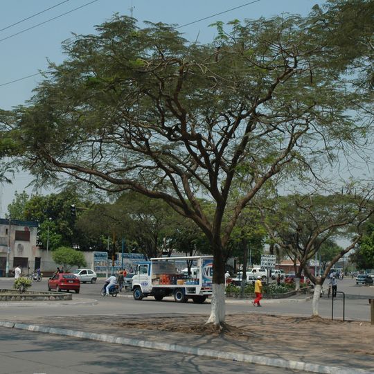 Libertador General San Martín