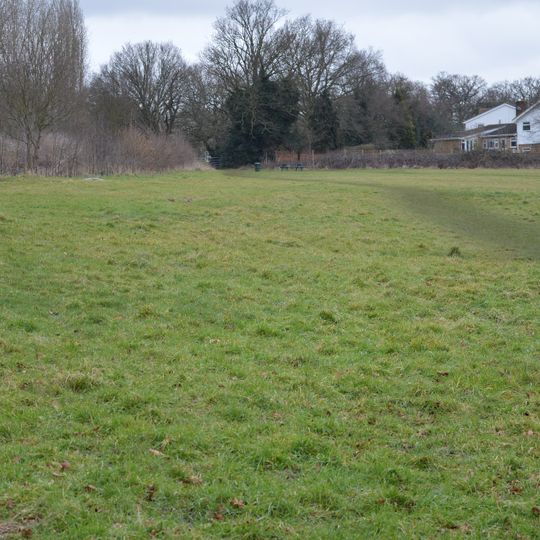 Top Field and Cozens Grove