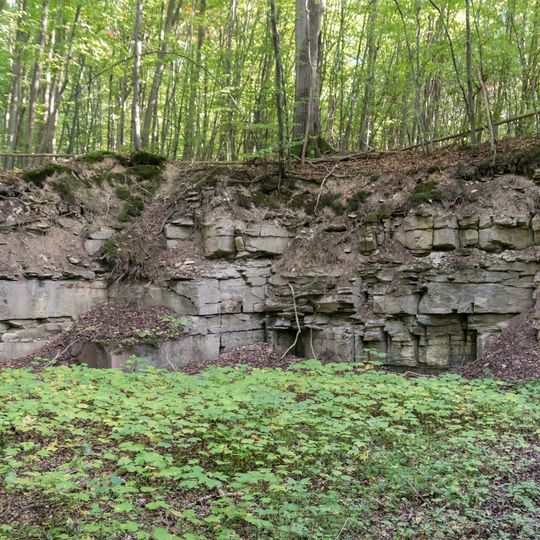 NSG Waelder bei Bueren