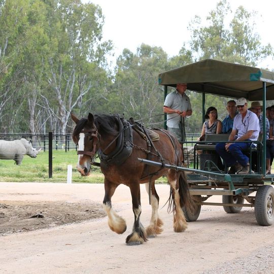 Altina Wildlife Park