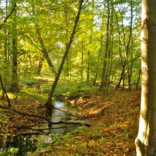Rodenbeker Quellental
