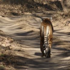 Pench National Park
