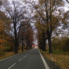 Lipová alej v Komárně