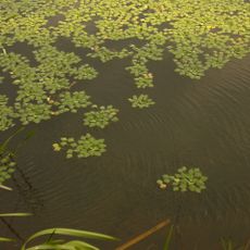 Nature reserve Łężczok