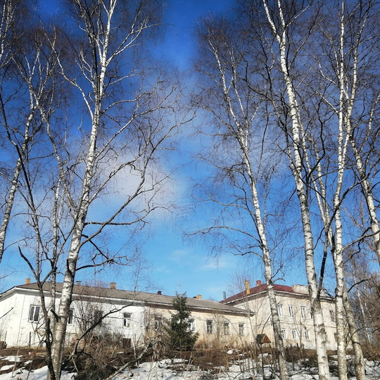 Полицейское управление