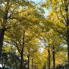 常総運動公園