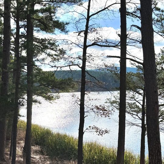 Cedar Lake South Shore