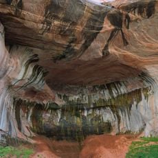 Taylor Creek Wilderness