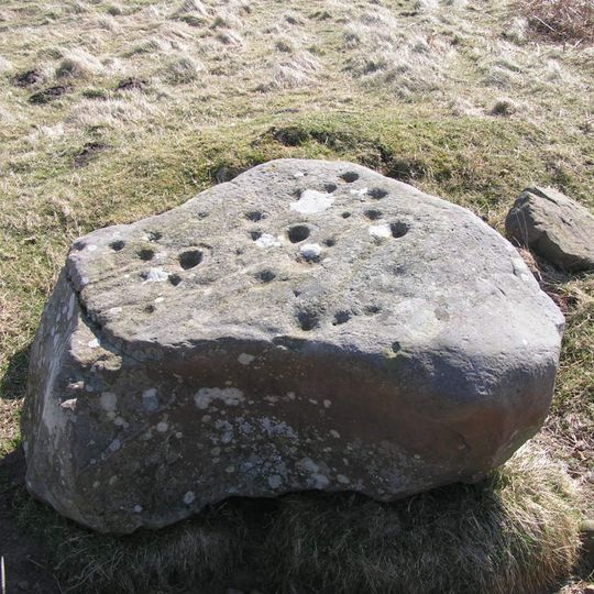 Cup and ring marked rocks on Wandylaw Moor, 1km west of Wandylaw