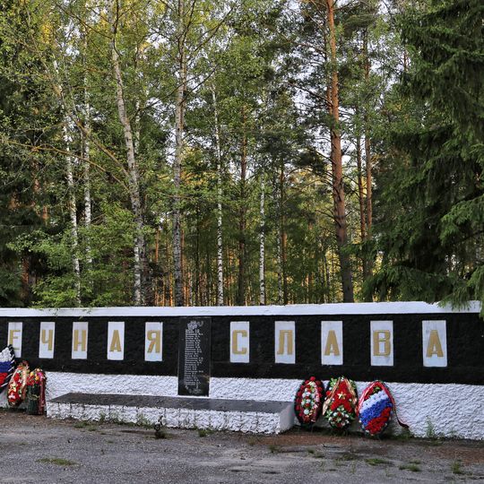 Братская могила воинов Советской Армии, умерших от ран