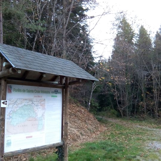 Forêt de Sainte-Croix-Volvestre