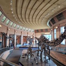 The Children's Museum