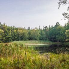 Bundorfer Wald und Quellbäche der Baunach