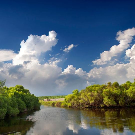 Bayou Sauvage Urban National Wildlife Refuge