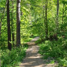 The Årsta Forest Nature Reserve
