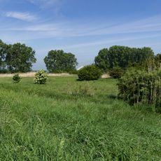 Lochwiesen von Biblis