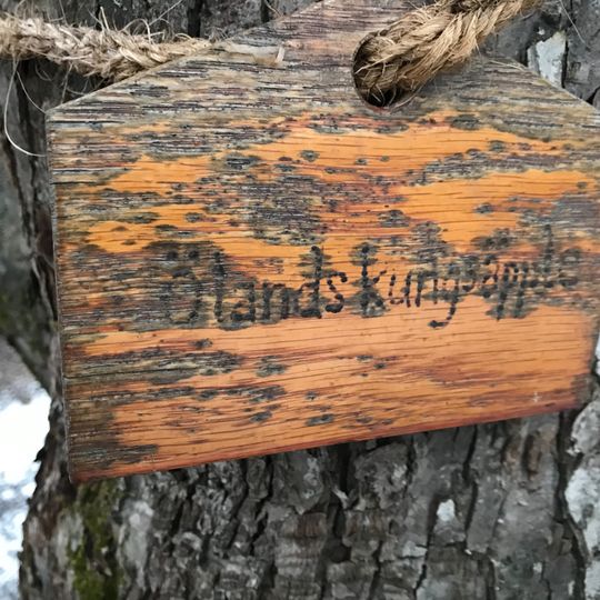 Apple Trees in Skogaholm´s Kitchen Garden