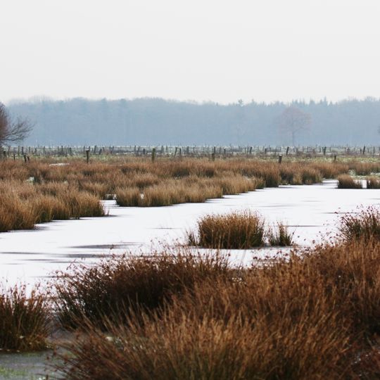 Büngernsche und Dingdener Heide