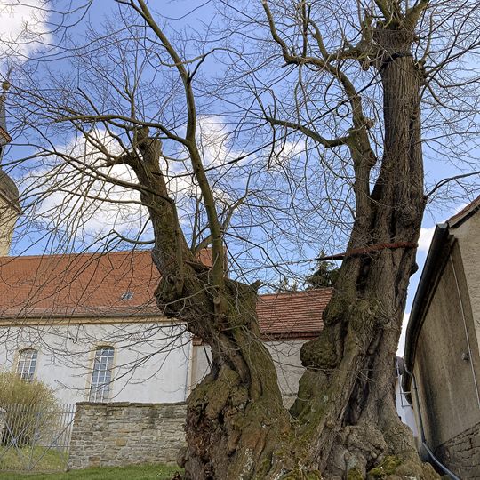 Prangerlinde Großpörthen