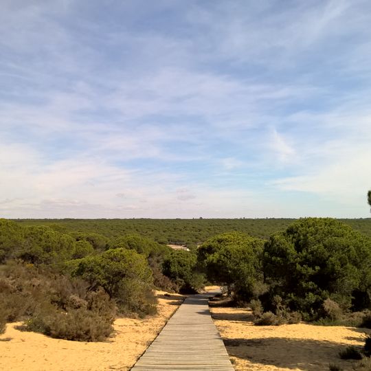 Naturpark Doñana