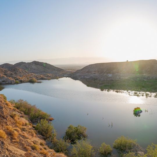 מאגר עשת הדסה