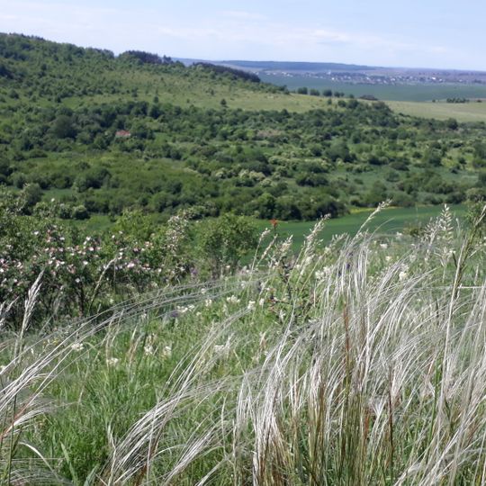 Large Goldi Natural Monument