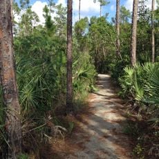Pinelands Trail