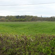 Bruera moated site and adjacent field system