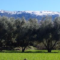 Provincia de Bulmán