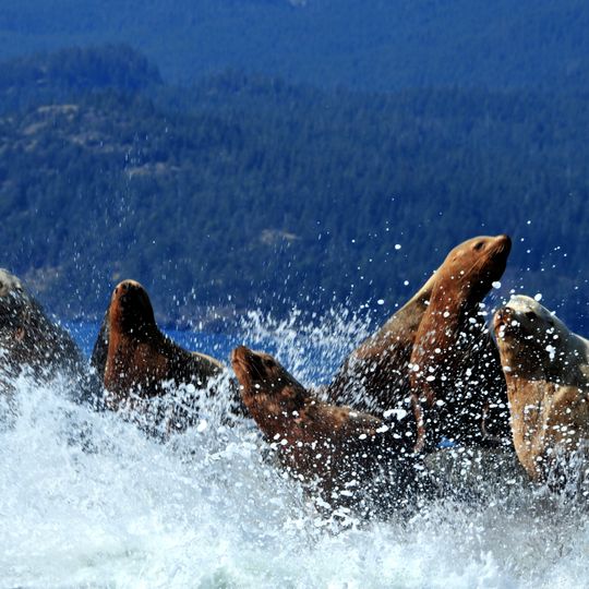 Jedediah Island Marine Provincial Park
