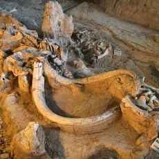 Waco Mammoth National Monument