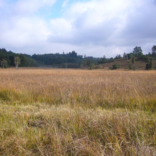 Tourbière Des Dauges