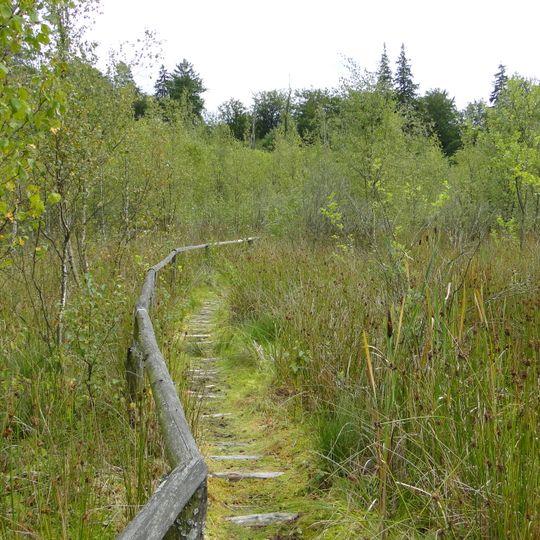 Hohe Burg und Schwarzer See