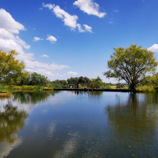 Crucero de el aguaje