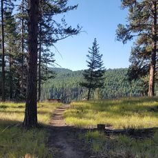 Johnstone Creek Provincial Park