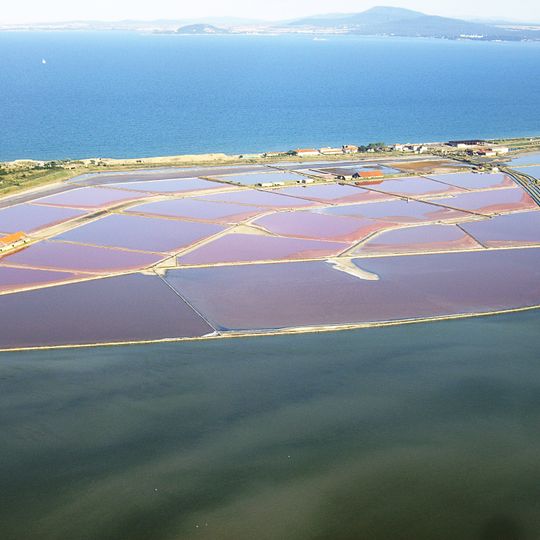 Бургаски солници