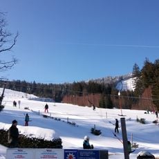 Geißkopf