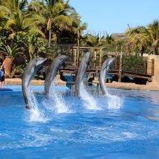 UShaka Marine World