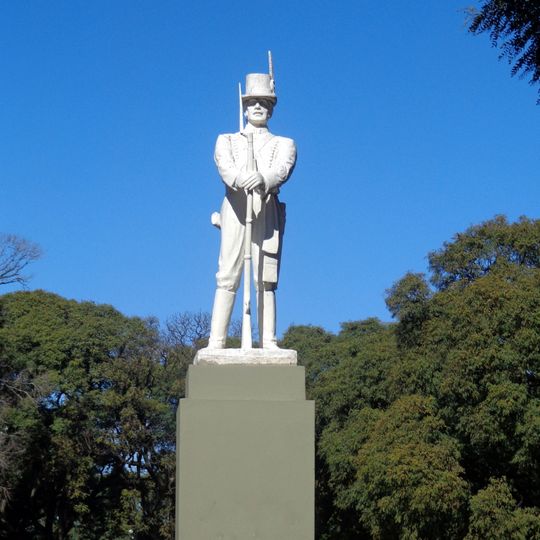 Soldado Patricio