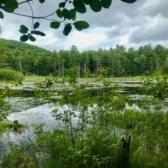 Sunnybrook State Park