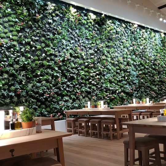 Vapiano