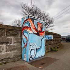 Octopus in a Sardine Can