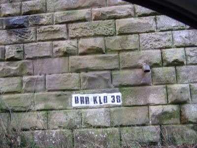 Immagine alternativa