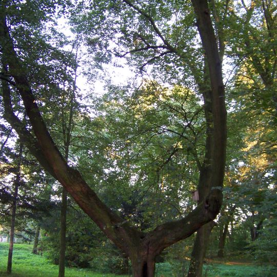 Ptakowice, Opole Voivodeship