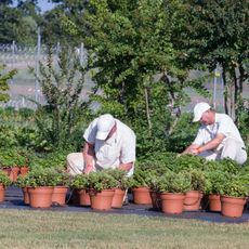 Limestone Correctional Facility